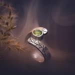 Gabriel JOANNAS - JOANNAS GABRIEL