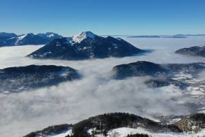 Edouard VASILIĆ - Edouard Vasilic